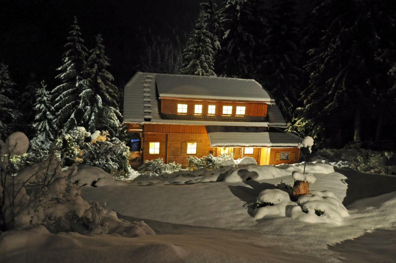 Chalet Styria Donnersbachwald Εξωτερικό φωτογραφία