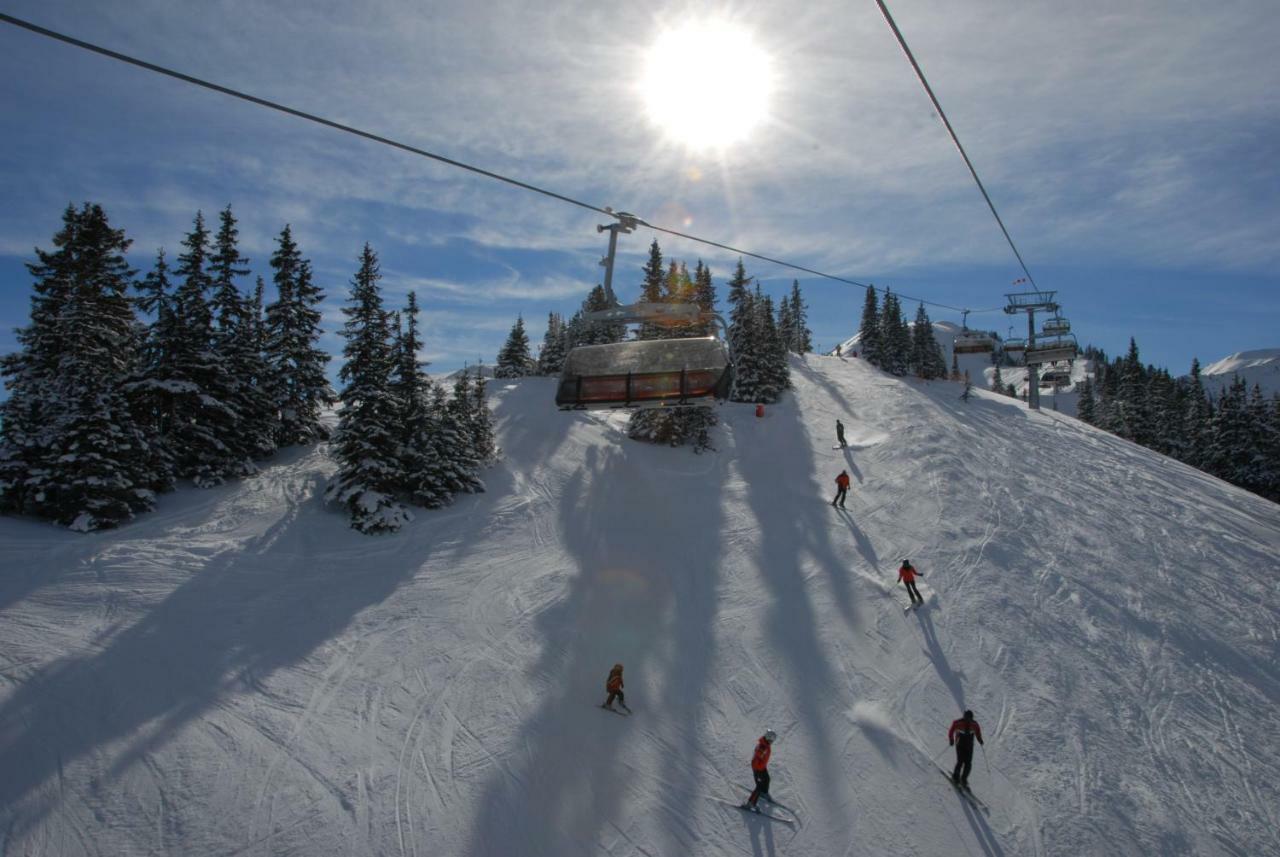 Chalet Styria Donnersbachwald Εξωτερικό φωτογραφία
